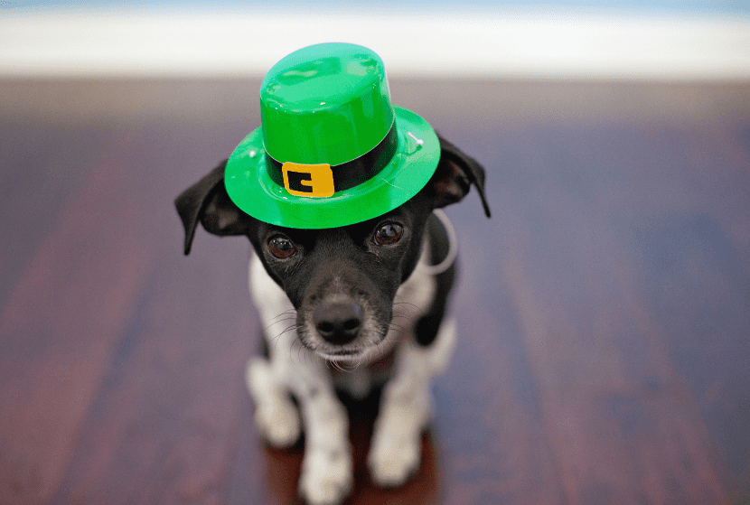 12 Sober St. Patrick's Day Activities