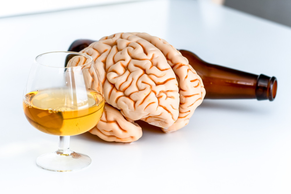 the brain and alcohol