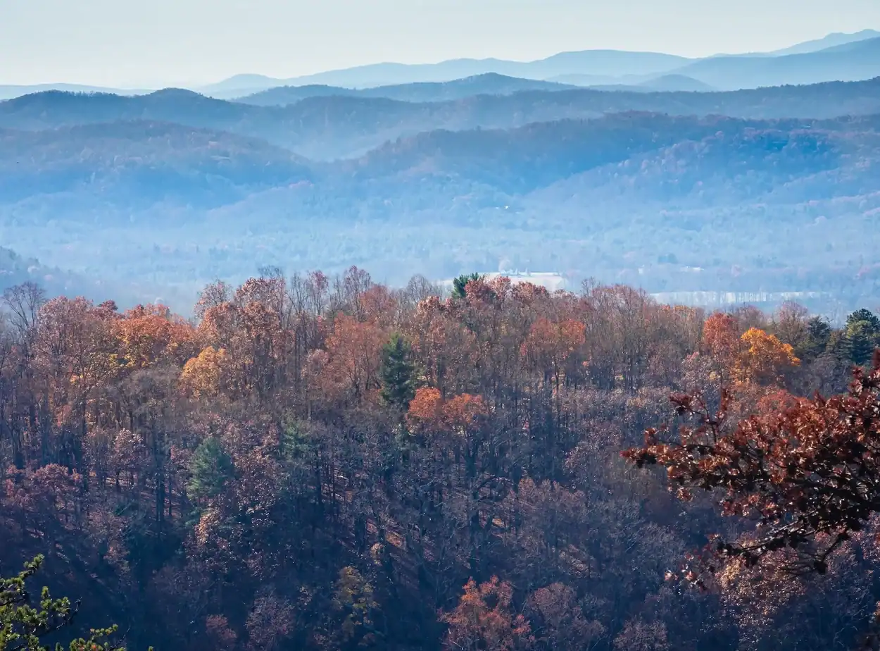 hendersonville drug rehab