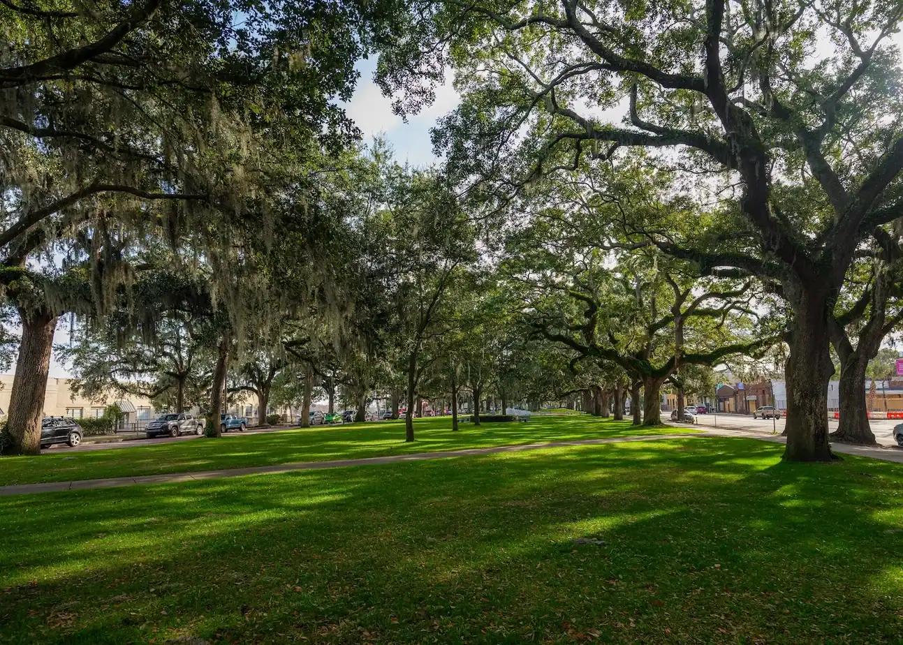 savannah drug rehab